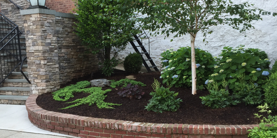 Garden in Broxville, NY