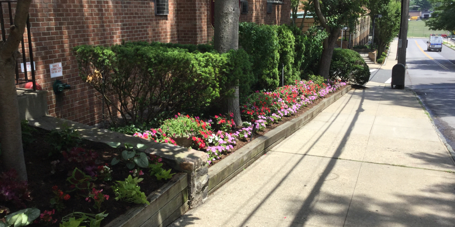 Garden in Broxville, NY