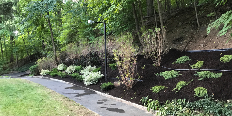 Hillside Project