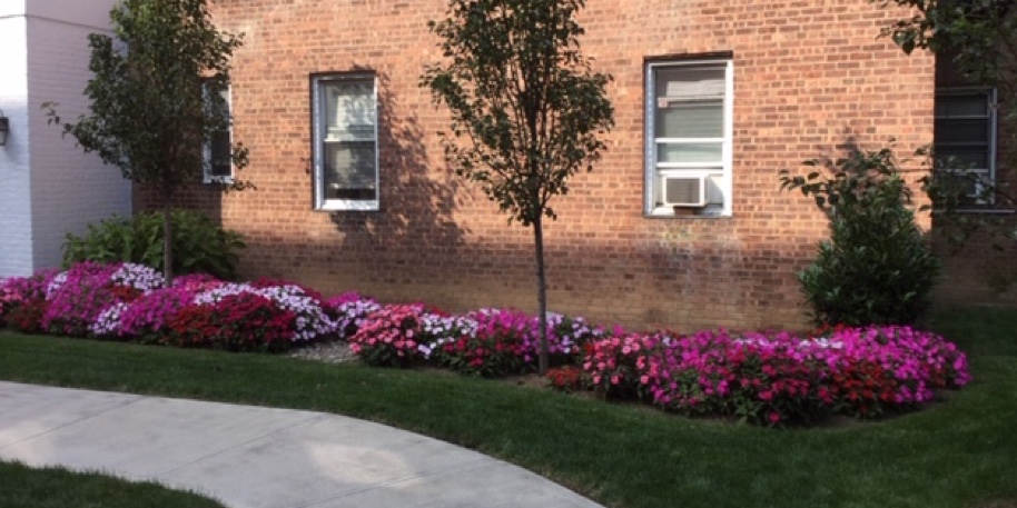 Courtyard Landscaping