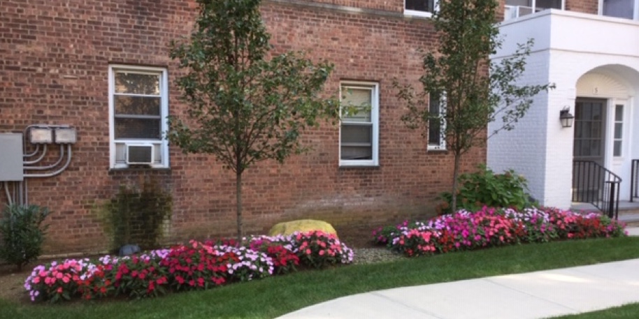 Courtyard Landscaping