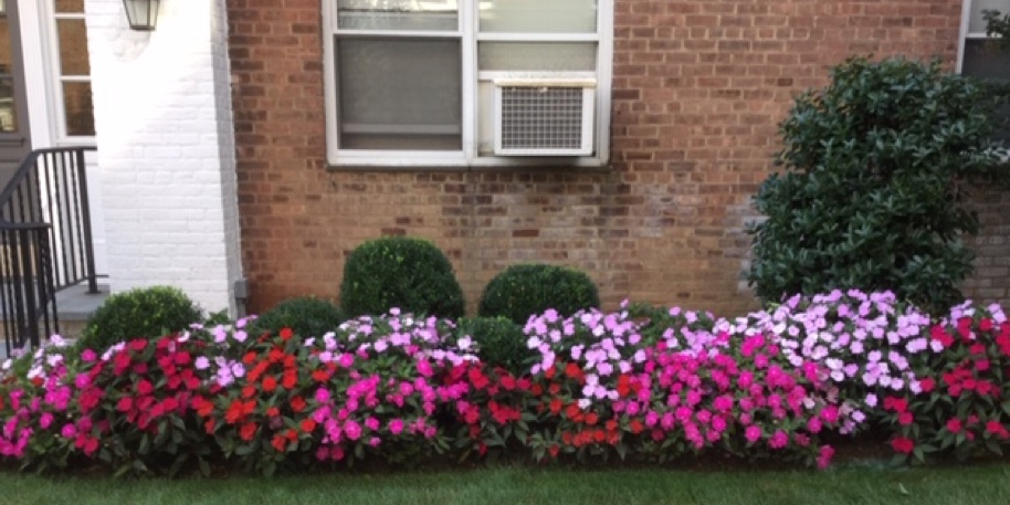 Courtyard Landscaping