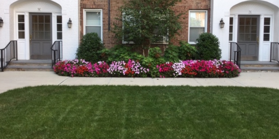 Courtyard Landscaping
