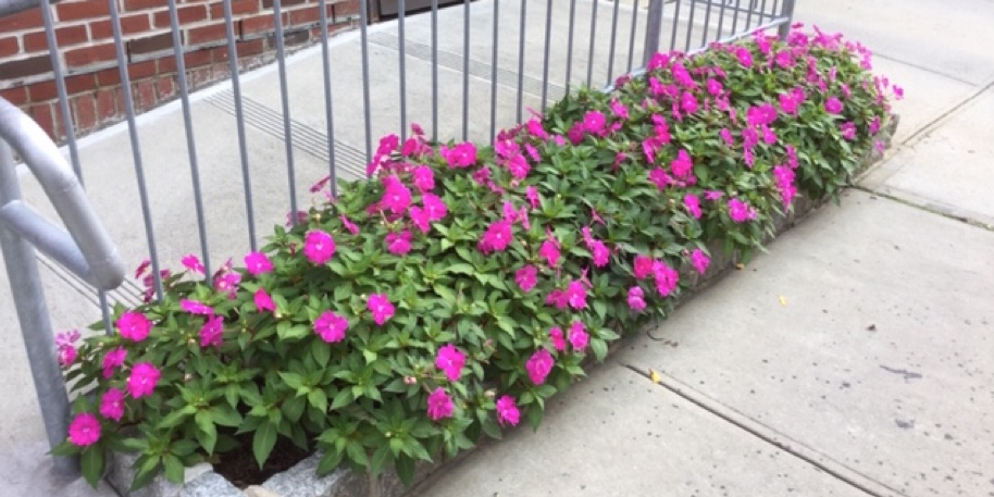 Flower Installation