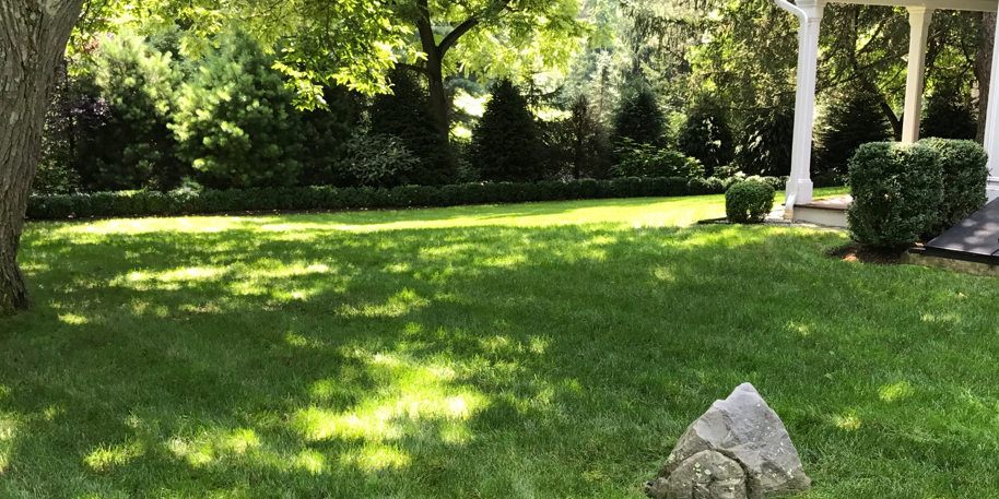 Residential Home Front Yard