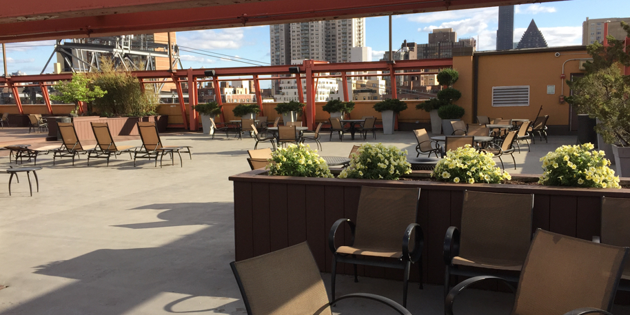Rooftop Patio Garden in NYC