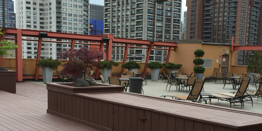 Rooftop Patio Garden in NYC